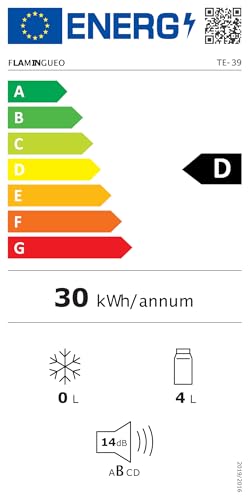 Flamingueo Mini Nevera 4L, Frío/Calor, 12V/220V