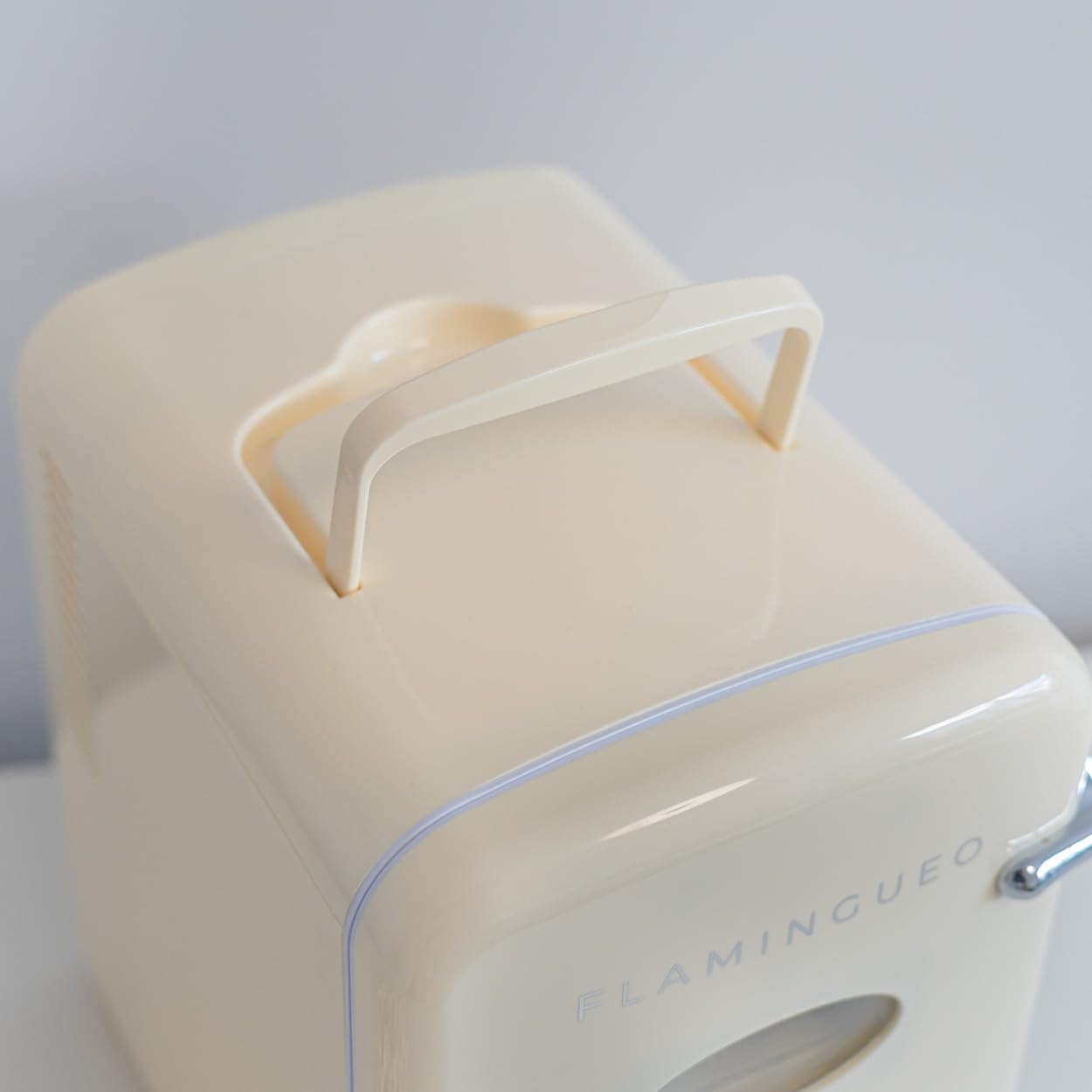 Flamingueo Mini Nevera 4L, Frío/Calor, 12V/220V